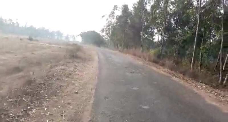  Agricultural Land 4 Acre for Sale in Barjora, Bankura