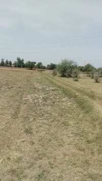  Agricultural Land for Sale in Devigarh, Patiala