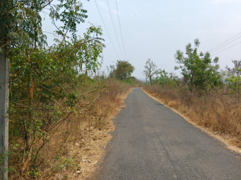  Agricultural Land for Sale in Parseoni, Nagpur