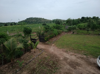  Agricultural Land for Sale in Kondhali, Nagpur