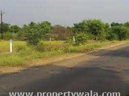  Agricultural Land for Sale in Shirur, Nagpur