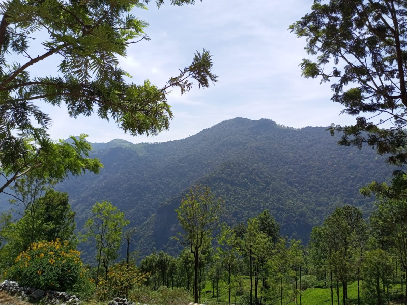  Guest House 5000 Sq.ft. for Sale in Coonoor, Nilgiris
