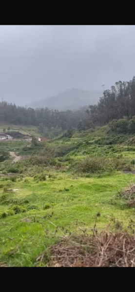  Commercial Land 6 Acre for Sale in Coonoor, Nilgiris