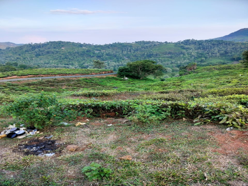  Residential Plot 25 Cent for Sale in Kotagiri, Nilgiris