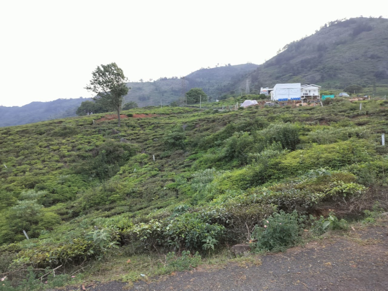  Residential Plot 25 Cent for Sale in Kotagiri, Nilgiris