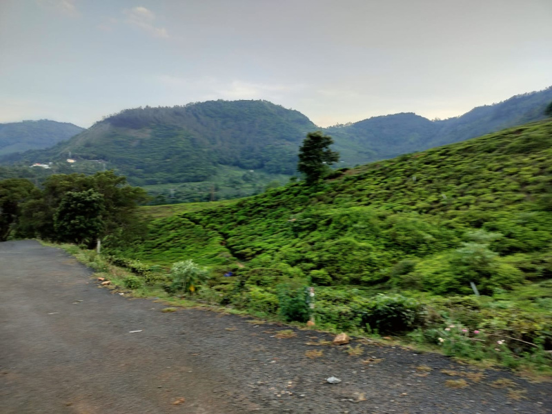  Residential Plot 25 Cent for Sale in Kotagiri, Nilgiris