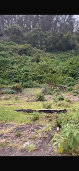  Agricultural Land 6 Acre for Sale in Coonoor, Nilgiris