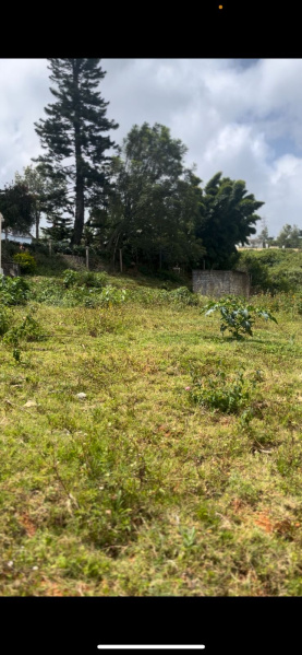  Residential Plot 17 Cent for Sale in Kotagiri, Nilgiris
