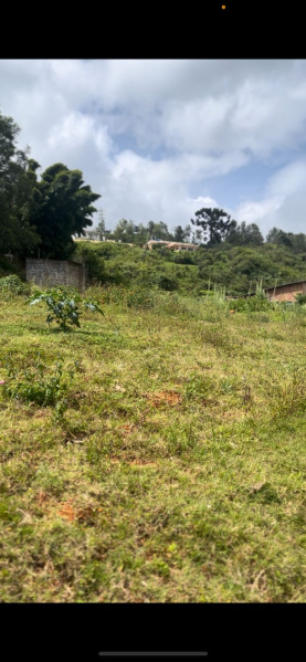  Residential Plot 17 Cent for Sale in Kotagiri, Nilgiris