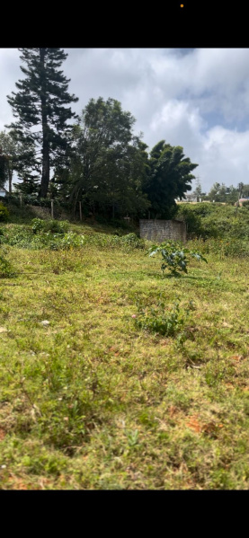  Residential Plot 17 Cent for Sale in Kotagiri, Nilgiris