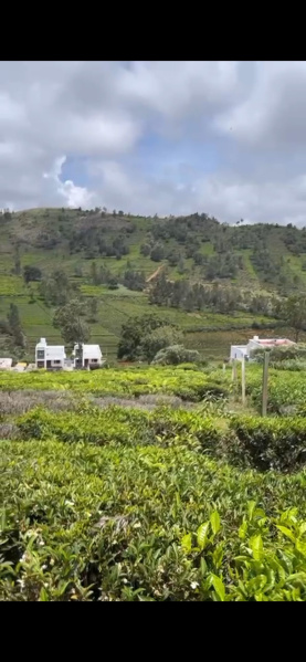  Residential Plot 38 Cent for Sale in Kotagiri, Nilgiris