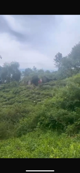  Residential Plot 5 Acre for Sale in Coonoor, Nilgiris