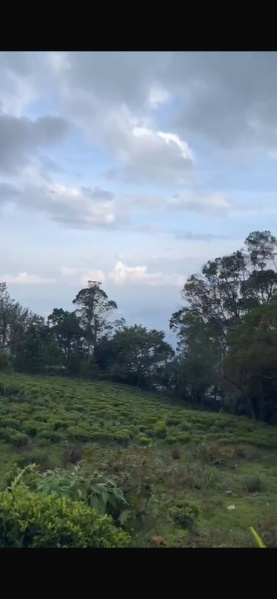  Residential Plot 33 Cent for Sale in Ketti, Nilgiris