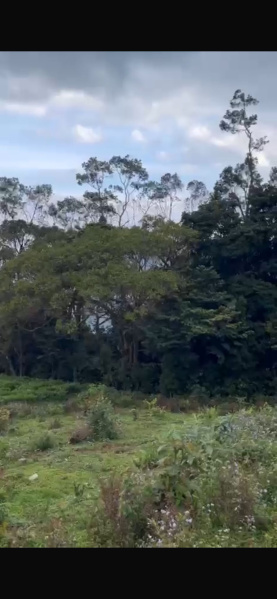  Residential Plot 33 Cent for Sale in Ketti, Nilgiris