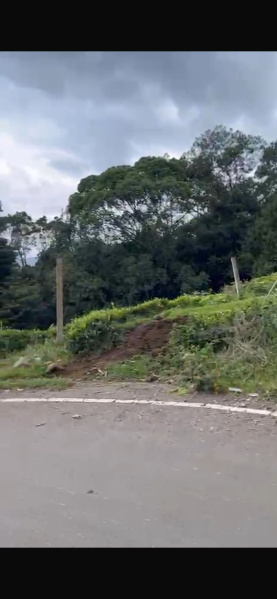  Residential Plot 33 Cent for Sale in Ketti, Nilgiris