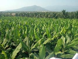  Agricultural Land for Sale in Bhavani, Erode