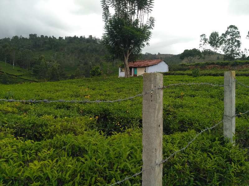 Agricultural Land 1 Acre for Sale in Kotagiri, Nilgiris