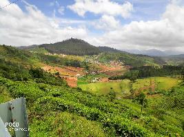  Agricultural Land for Sale in Lovedale Junction, Ooty
