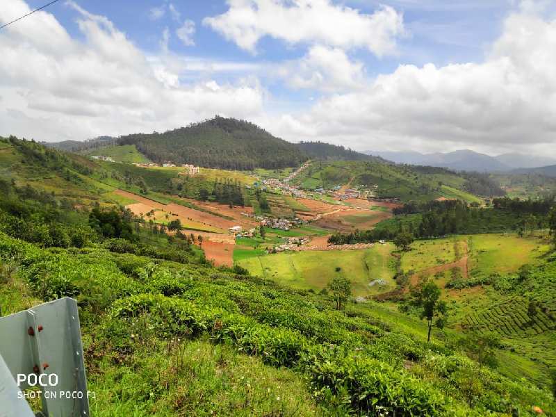 Agricultural Land 3 Acre for Sale in Lovedale Junction, Ooty