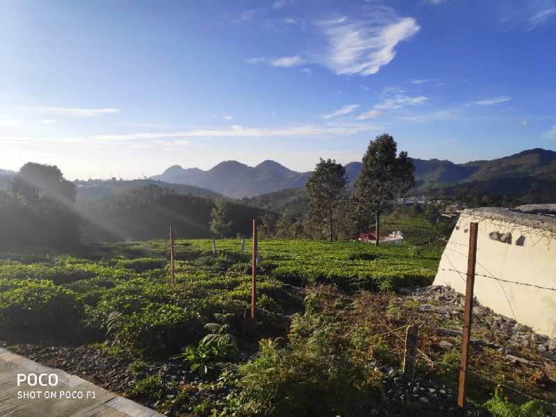 Agricultural Land 45 Cent for Sale in Coonoor, Nilgiris