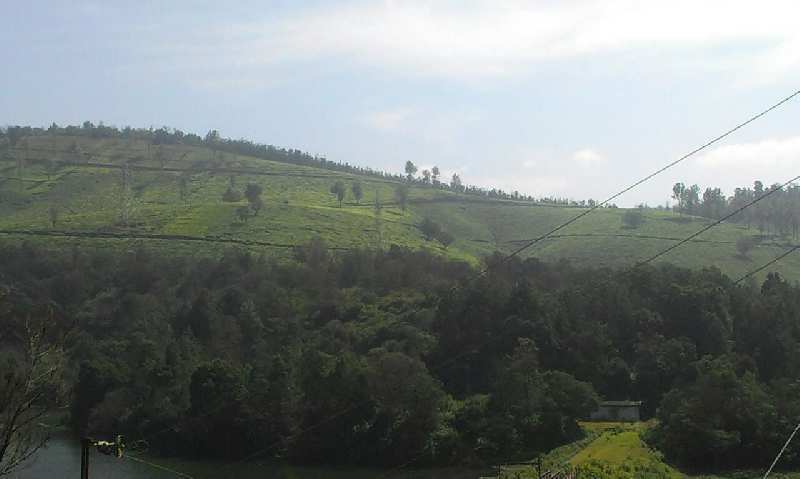 Agricultural Land 1000 Acre for Sale in Vandiperiyar, Idukki