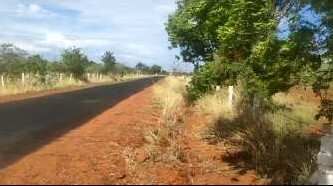  Agricultural Land 174 Acre for Sale in Melapalayam, Tirunelveli