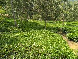  Agricultural Land for Sale in Coonoor, Nilgiris