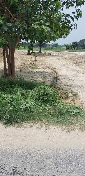 Agricultural Land 1050 Bigha for Sale in Ambala Road, Saharanpur