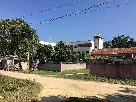  Residential Plot for Sale in Basopatti, Madhubani