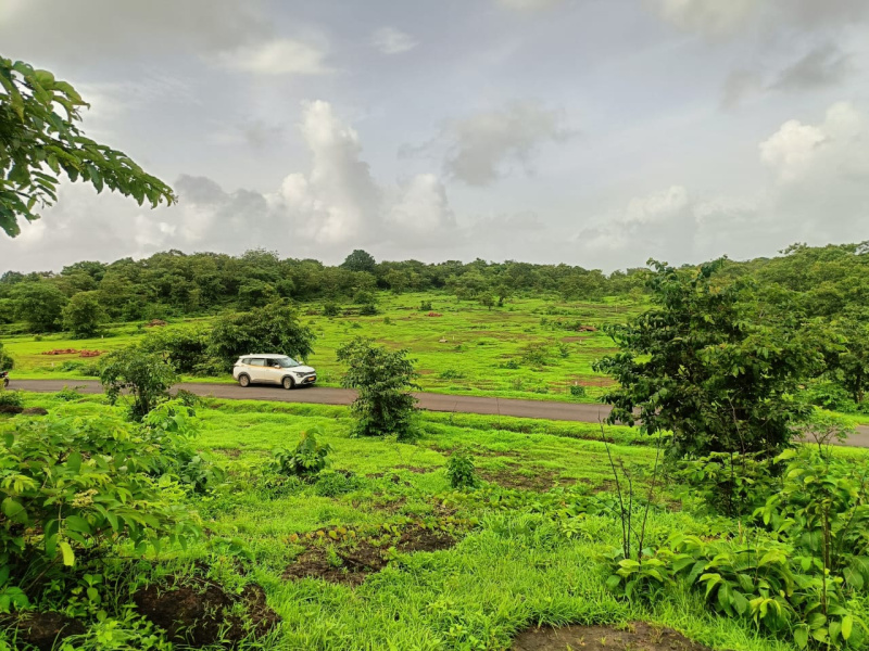  Residential Plot 5 Acre for Sale in Dhamandevi Road, Chiplun