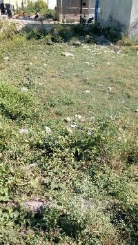  Commercial Land for Sale in Bahadrabad, Haridwar
