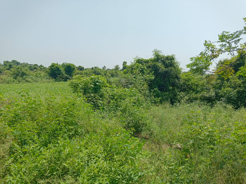 Agricultural Land 1000 Sq. Yards for Sale in DLF Valley, Panchkula