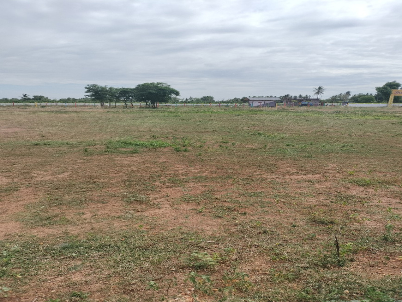  Residential Plot 1200 Sq.ft. for Sale in Thirukanurpatti, Thanjavur