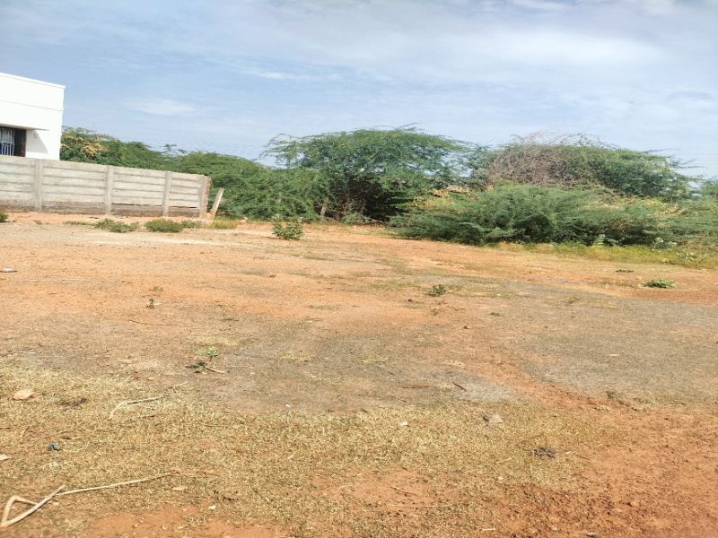  Residential Plot 2000 Sq.ft. for Sale in Srinivasapuram, Thanjavur