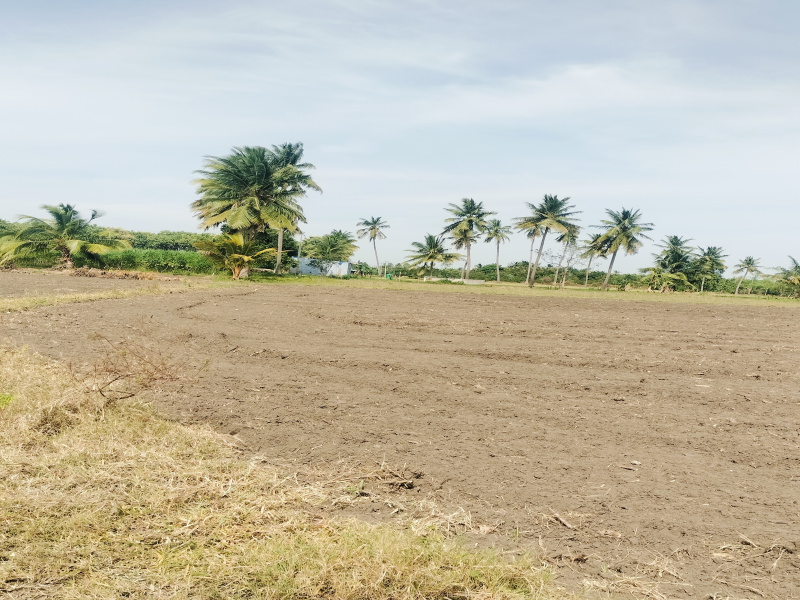  Agricultural Land 5 Acre for Sale in Kurungulam, Thanjavur