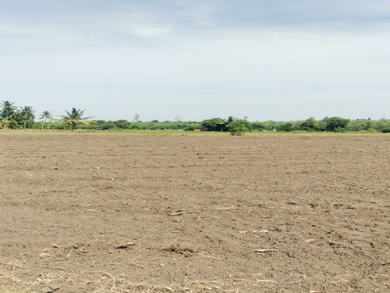  Agricultural Land 5 Acre for Sale in Kurungulam, Thanjavur