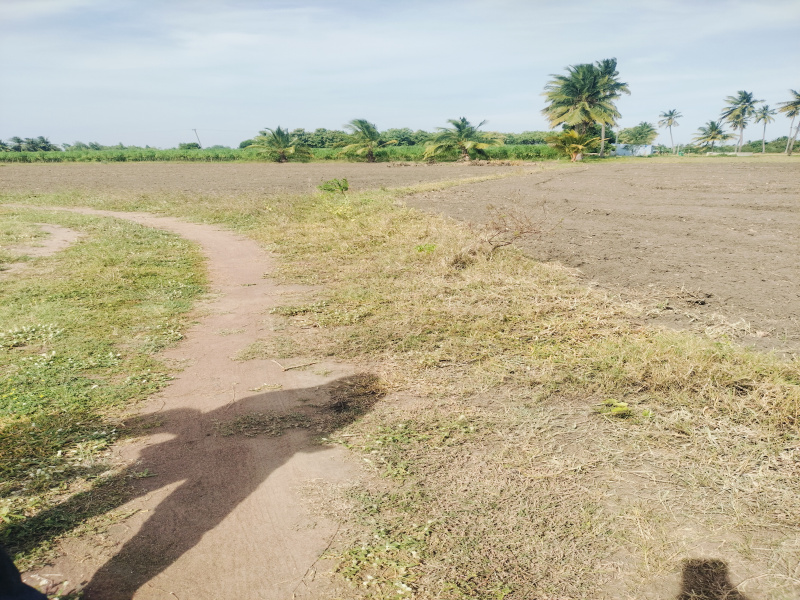  Agricultural Land 5 Acre for Sale in Kurungulam, Thanjavur