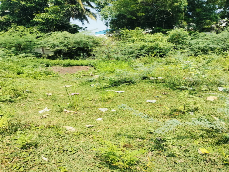  2400 Sq.ft. Residential Plot for Sale in Gnanam Nagar, Thanjavur