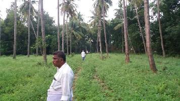  Agricultural Land for Sale in Thiruvaiyaru, Thanjavur