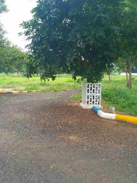  Residential Plot 1500 Sq.ft. for Sale in Thombankudisai, Thanjavur