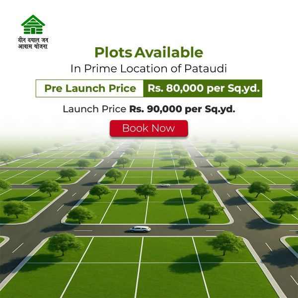  Residential Plot 144 Sq. Yards for Sale in Pataudi, Gurgaon
