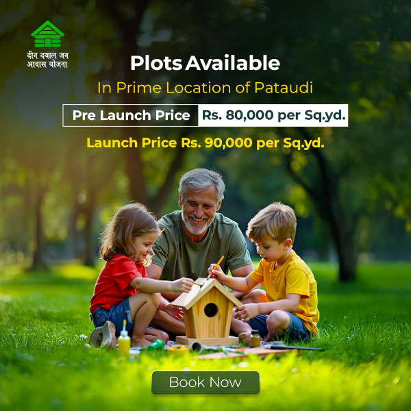  Residential Plot 144 Sq. Yards for Sale in Pataudi, Gurgaon