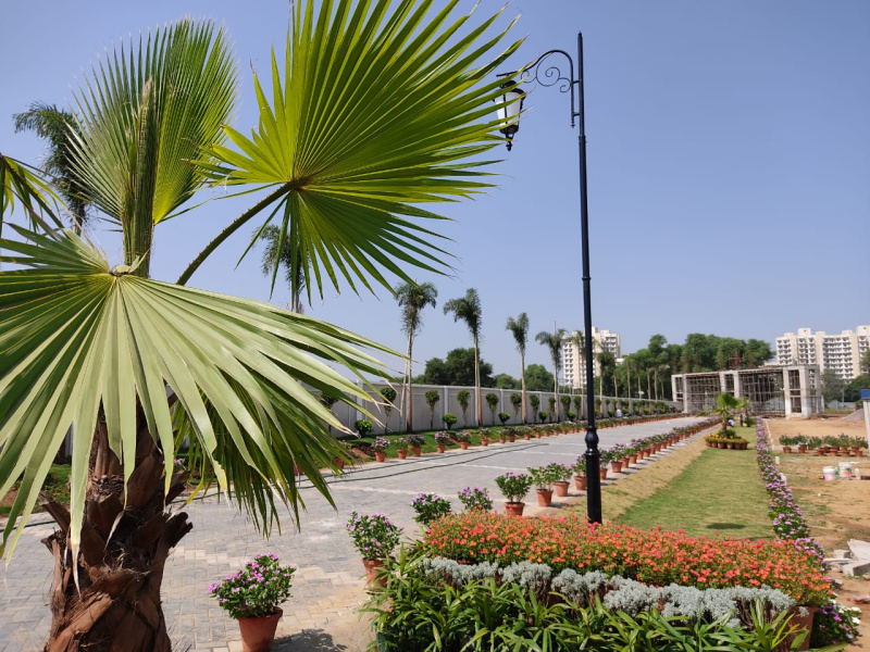  Residential Plot 175 Sq. Yards for Sale in Sohna, Gurgaon
