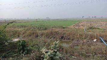  Agricultural Land for Sale in Dahegam, Gandhinagar
