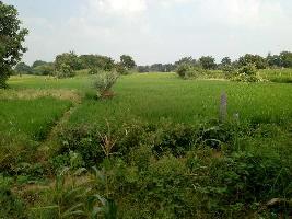  Agricultural Land for Sale in Adikmet, Hyderabad