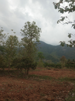  Agricultural Land for Sale in Chinnamanur, Theni
