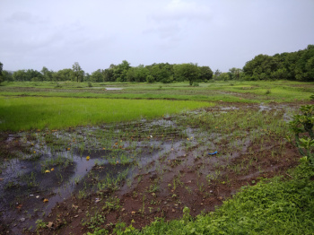  Industrial Land for Sale in Naroli, Naroli