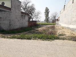  Residential Plot for Sale in Bhucho Mandi, Bathinda