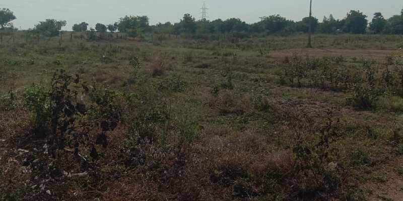  Residential Plot 300 Sq. Yards for Sale in Yadagirigutta, Hyderabad