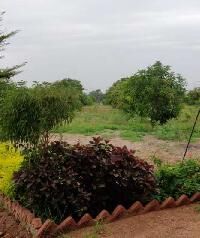  Agricultural Land for Sale in Yadagirigutta, Hyderabad